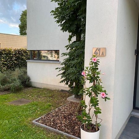 La Suite Cosy - Votre Pause Arboree La Bruyere Exteriér fotografie