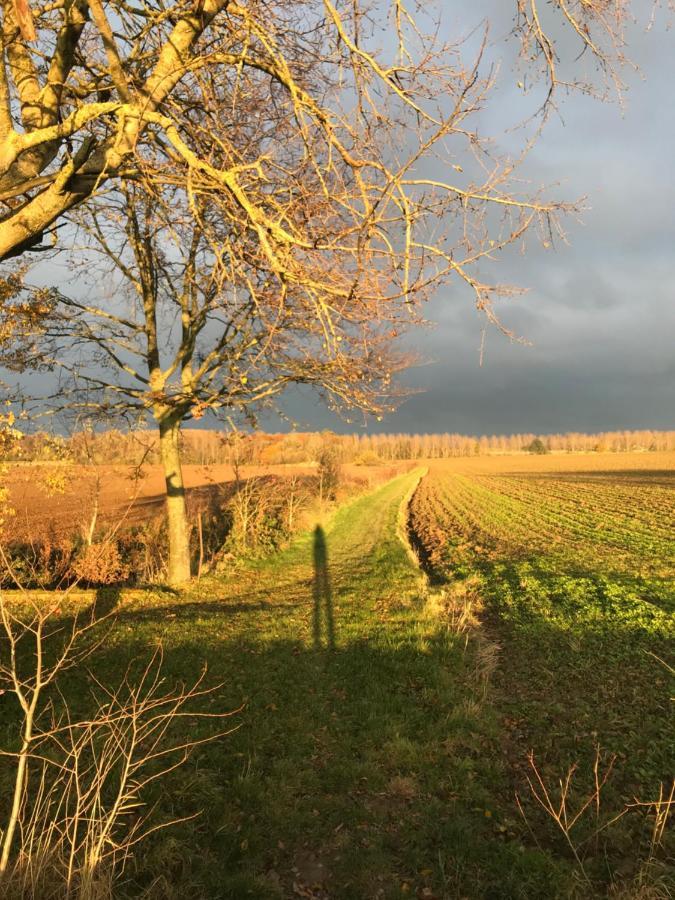 La Suite Cosy - Votre Pause Arboree La Bruyere Exteriér fotografie