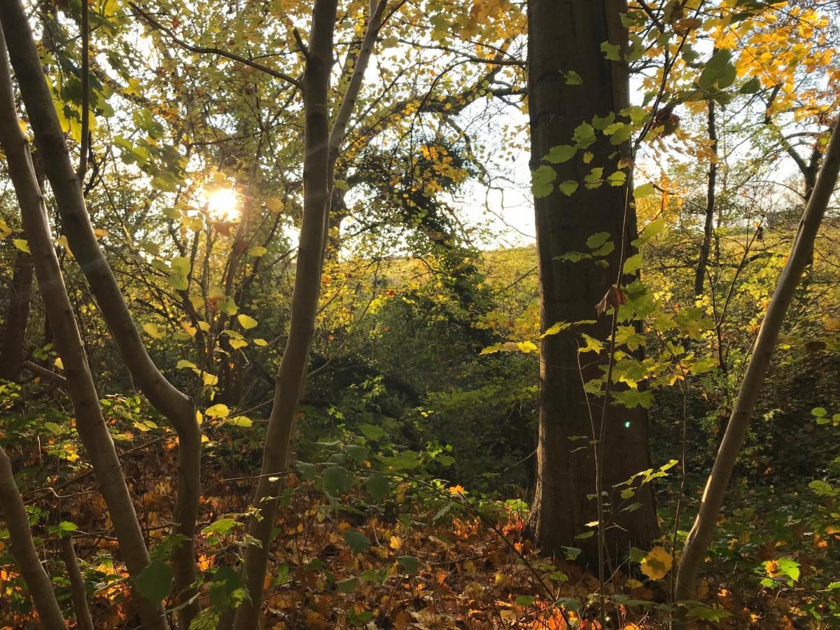 La Suite Cosy - Votre Pause Arboree La Bruyere Exteriér fotografie