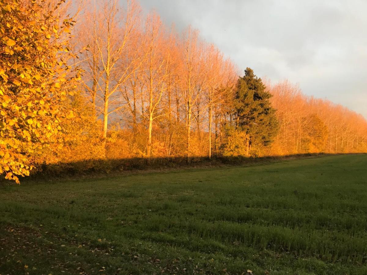 La Suite Cosy - Votre Pause Arboree La Bruyere Exteriér fotografie
