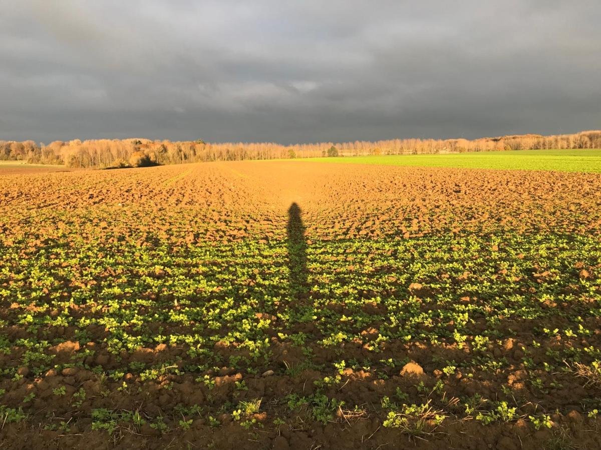 La Suite Cosy - Votre Pause Arboree La Bruyere Exteriér fotografie