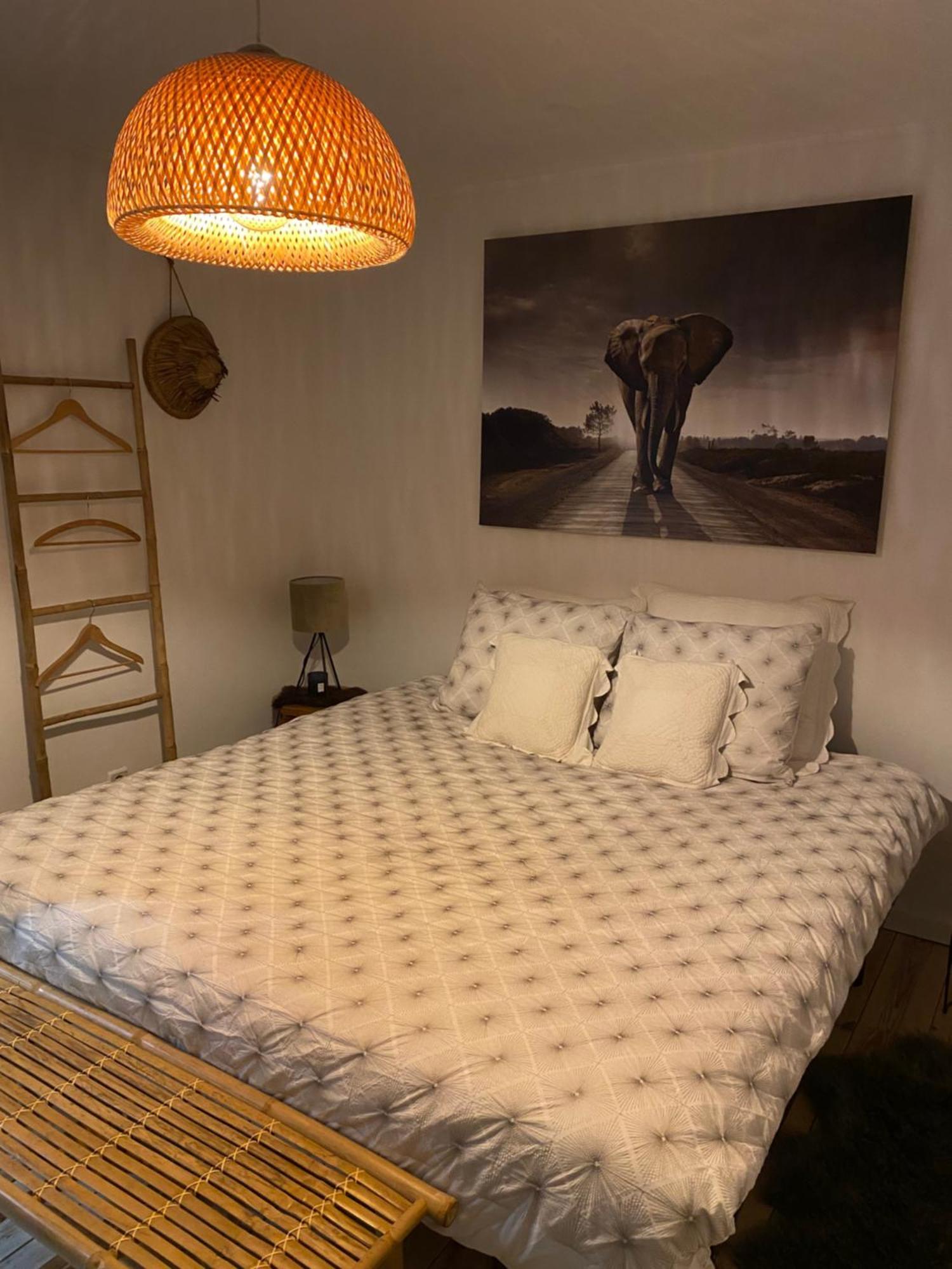 La Suite Cosy - Votre Pause Arboree La Bruyere Exteriér fotografie